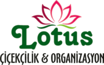 Mersin Mezitli Çiçekçilik - Lotus Çiçekçilik